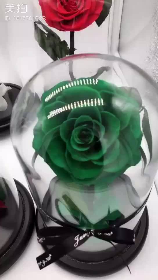 Wholesale White Color Preserved Roses Flowers In Dome Glass Long Lasting Roses In Dome Glass