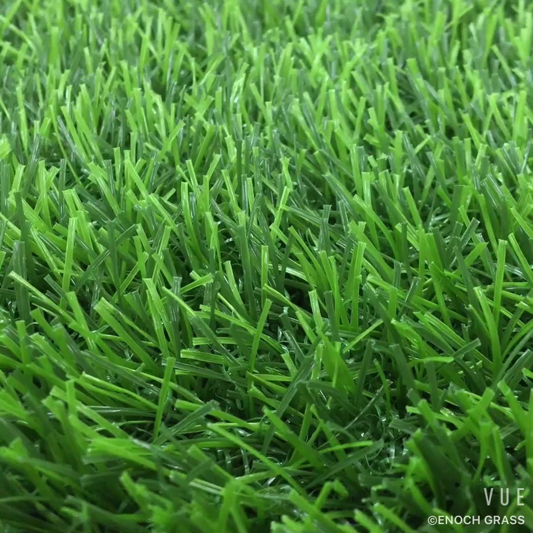 Газон Turf grass Park