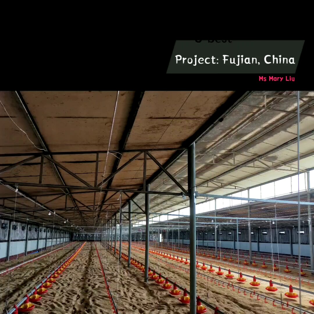 Automatic Poultry Farming Equipment For Broiler Chicken Buy Automatic