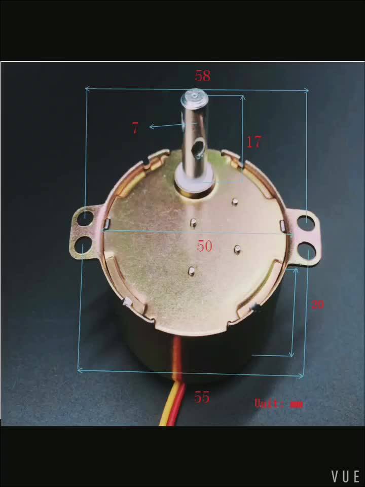 Low Rpm 4w Permanent Small Auto Ac Synchronous Motor For Fan 220