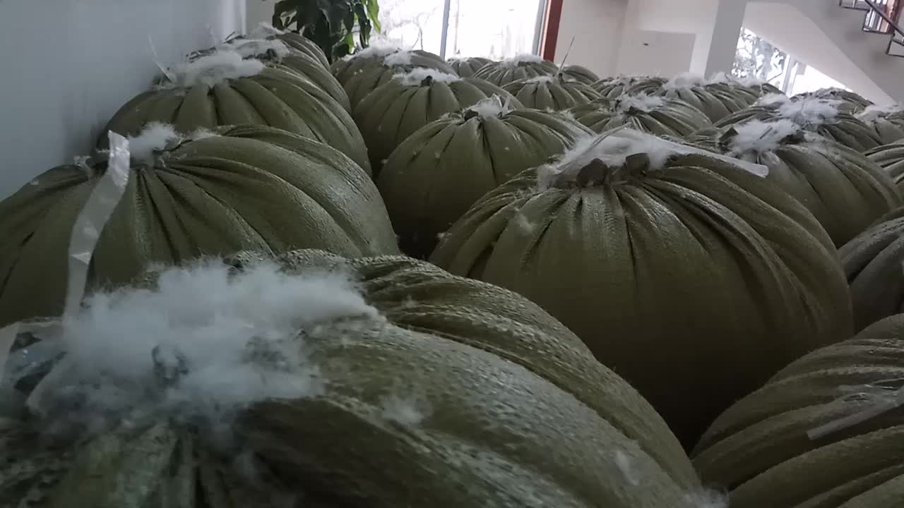 90/10 Washed White Goose Down Feather En12934 Standard Factory Wholesale Buy Washed White