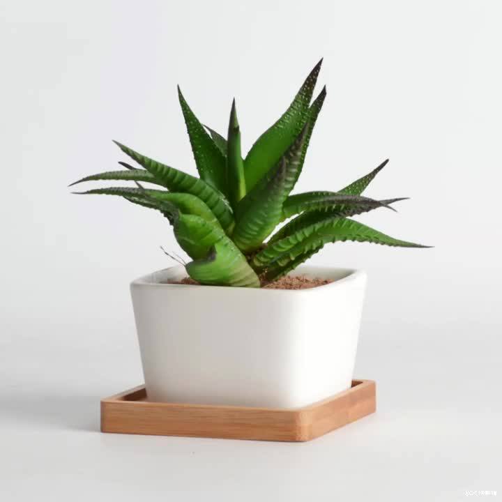 Wholesale Square Cute White Ceramic Small Succulent Pot Modern Buy