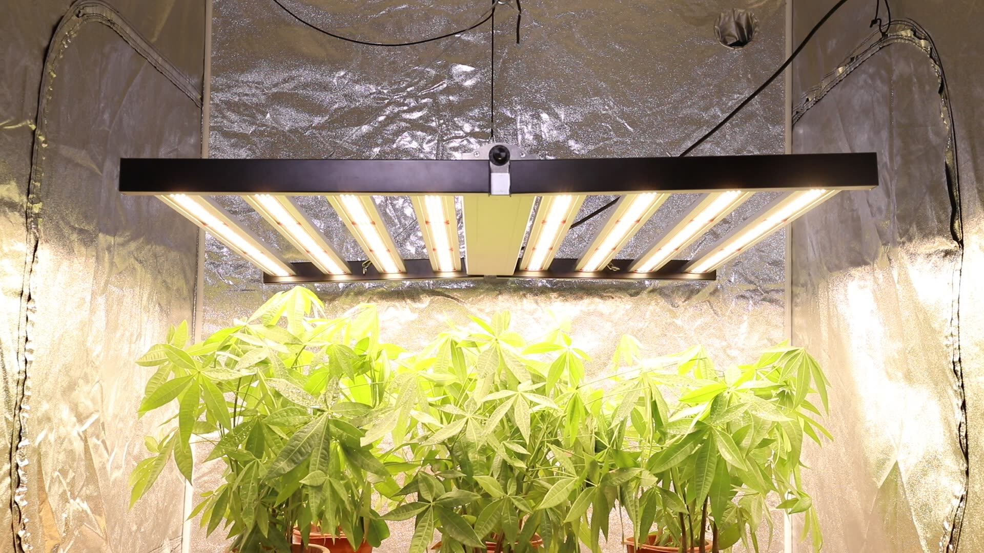 Phlizon 1000 Watts Growers Choice Roie680 Roie720 Samsung Lm301b 301h