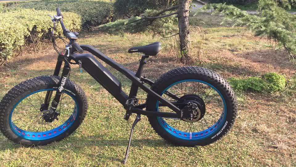 Customized Mtb Fat Tire Electric Bike 1000w Buy Electric Bike,Fat