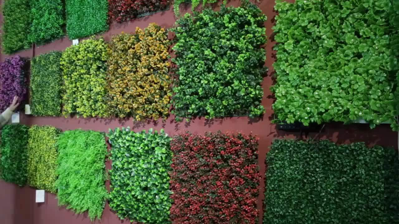 Uv Resistant Waterproof Green Wall System Vertical Garden Boxwood Hedge