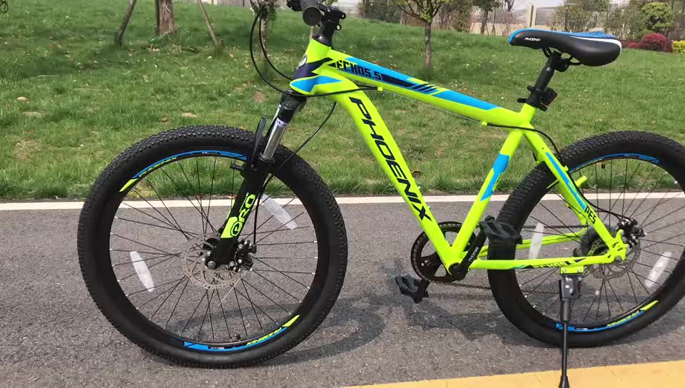 phoenix mtb cycle