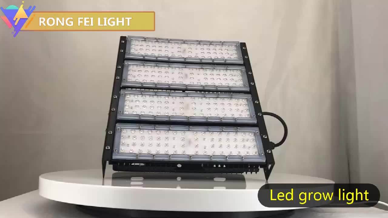Eco Friendly Ip65 High Lumen 600w Led Indoor Grow Light Buy Led Plant