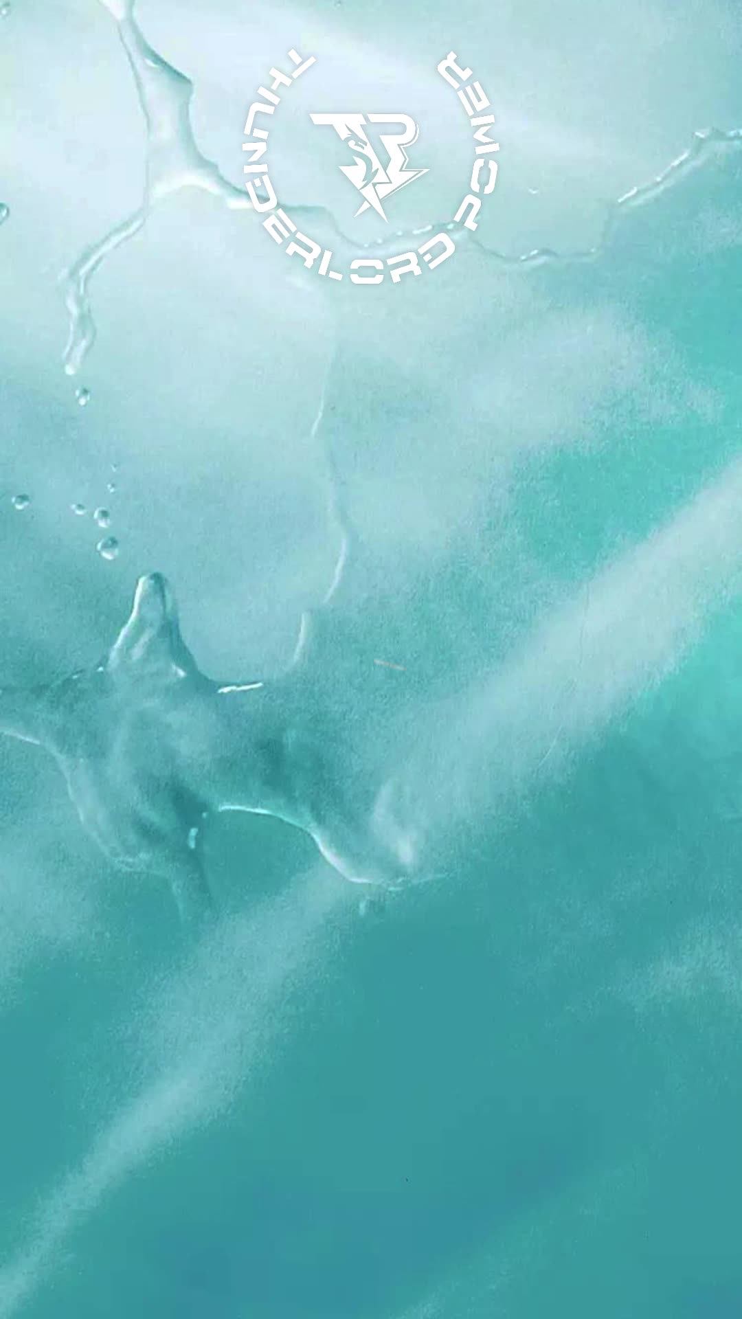 Thunder Tattoo Cartridge Needle Manufacture Membrane Prevent Ink Spit