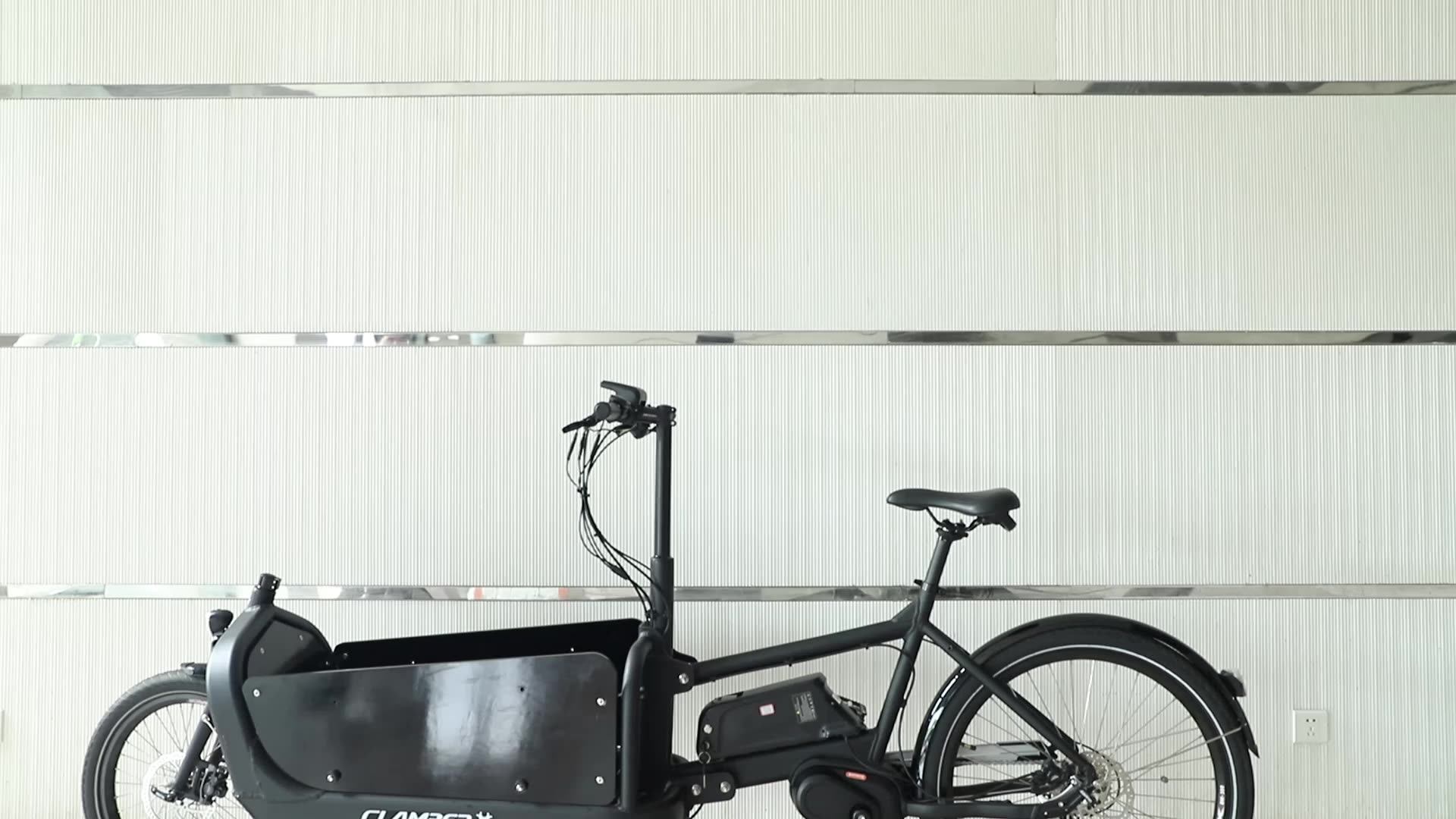 Buy Cargo Bike,Electric Bicycle,E Bike 