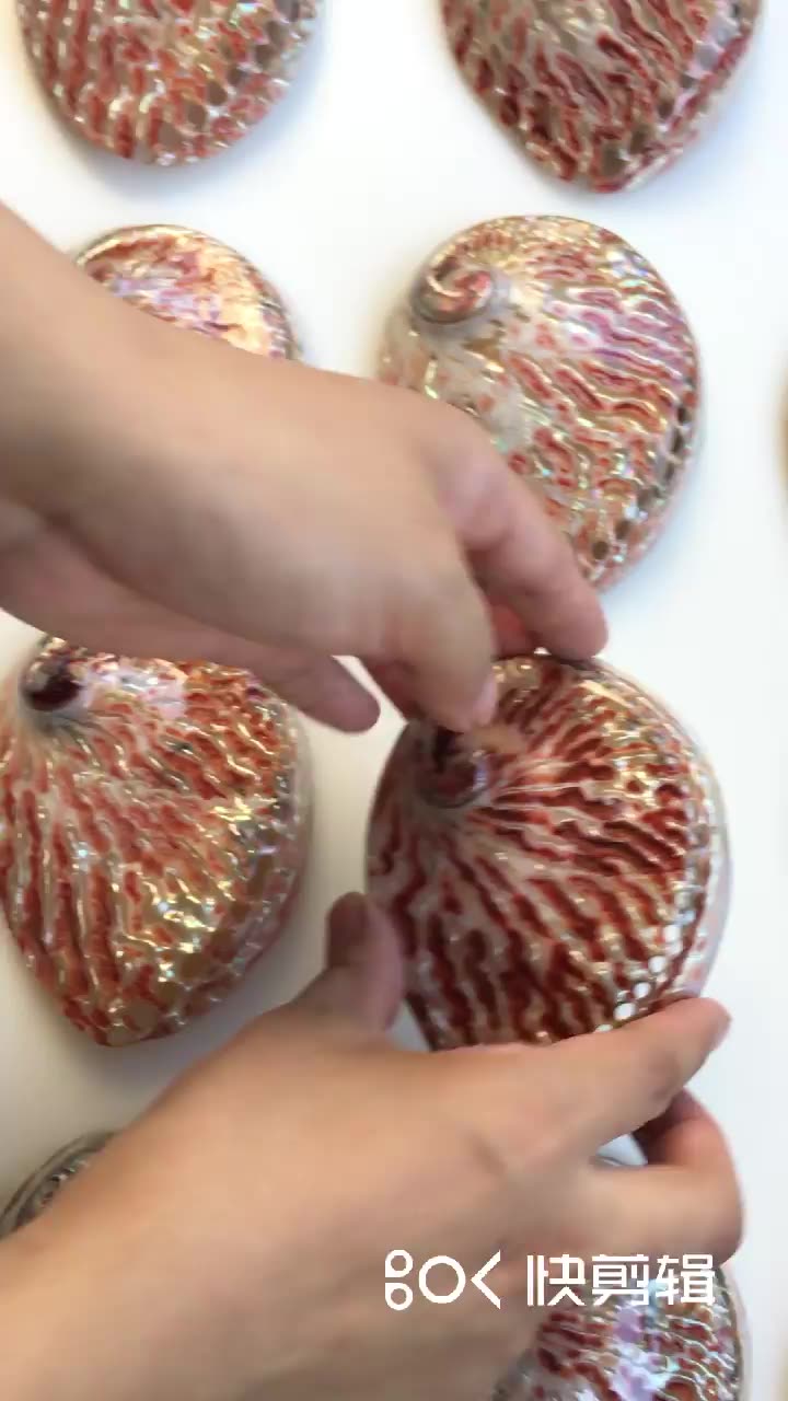 Polished Red Abalone Shell 10-13cm Perfect For Aquariums Decoration Crafts P4H1 