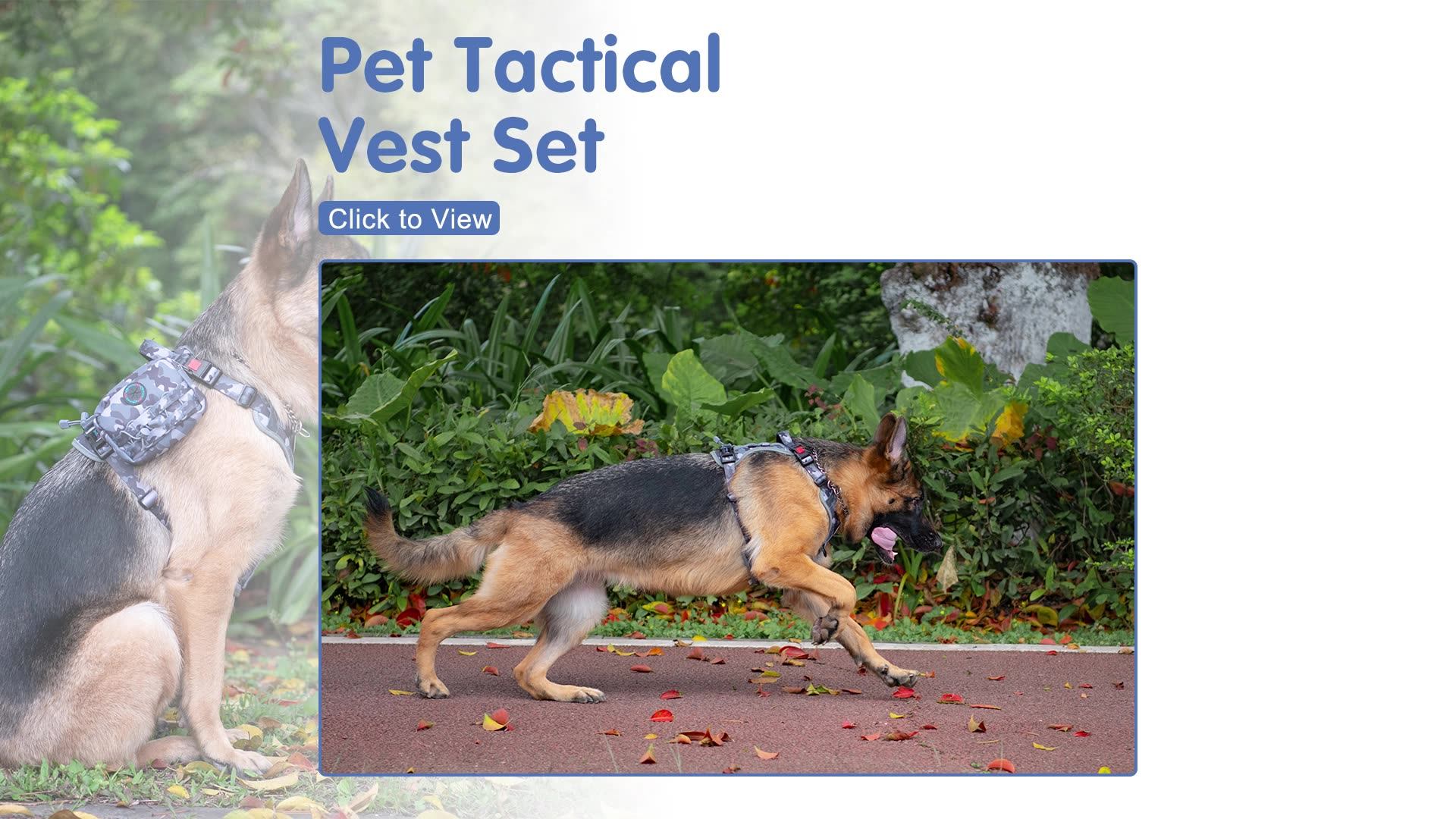 Hanyang Custom Adjustable Heavy Duty Nopull Dog Vest Harness And Leash