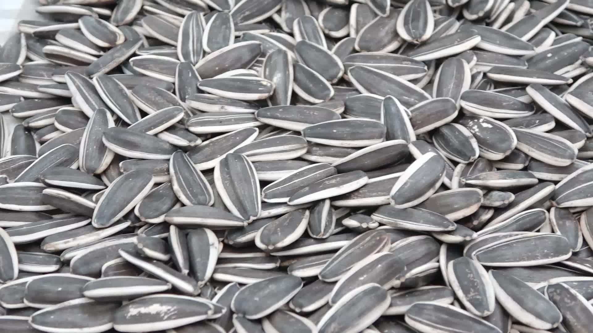 Market Price Ton Price Raw Sunflower Seed Kernel Buy Sunflower Seed