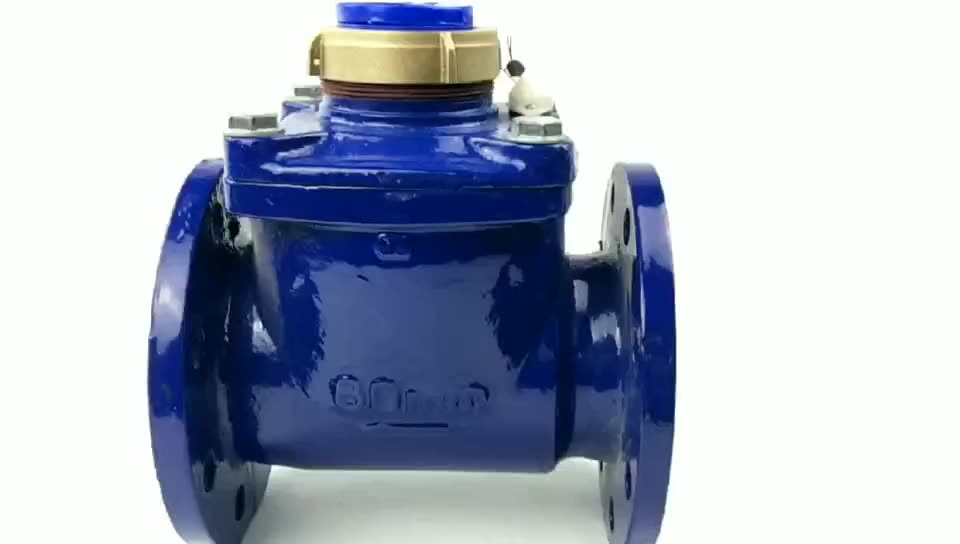 Woltman Italy Kamstrupwater Meter Digital Water Flow Meter Totalizer