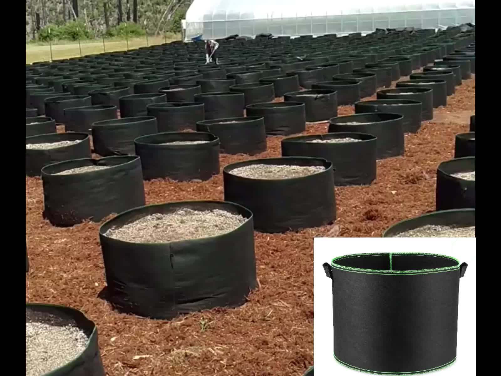 Factory Supplier 100 Gallon Soft Fabric Smart Grow Pot Buy 100 Soft