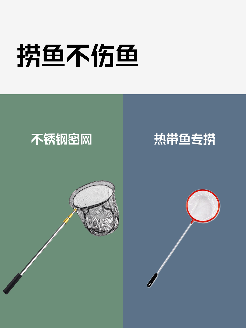 捞鱼不伤鱼-淘宝逛一逛