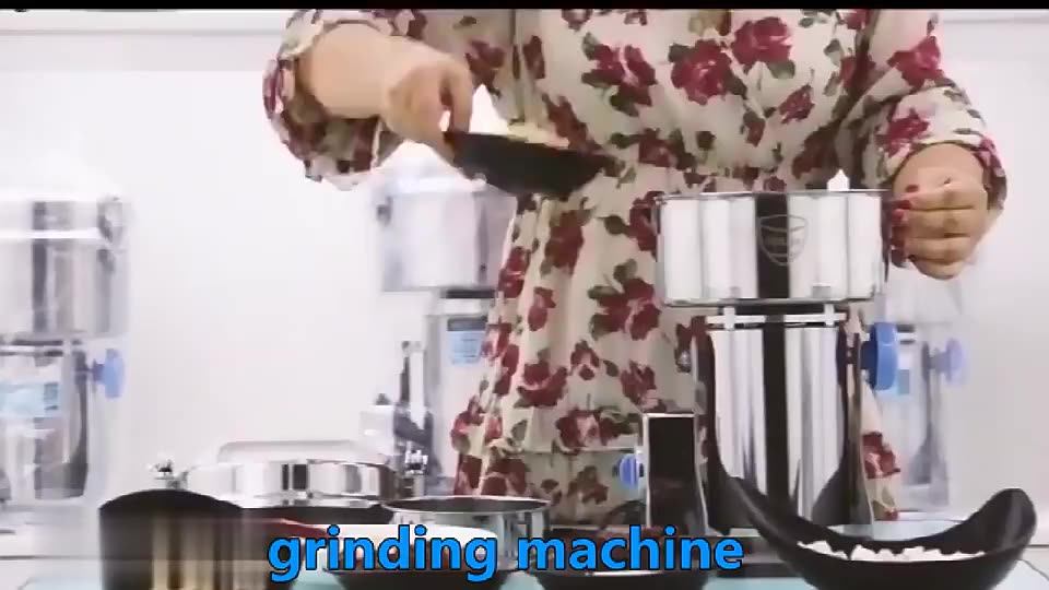 300g 1200w Stainless Steel Kitchen Appliances Electric Multifunction Yam Pounder Spices Grinder