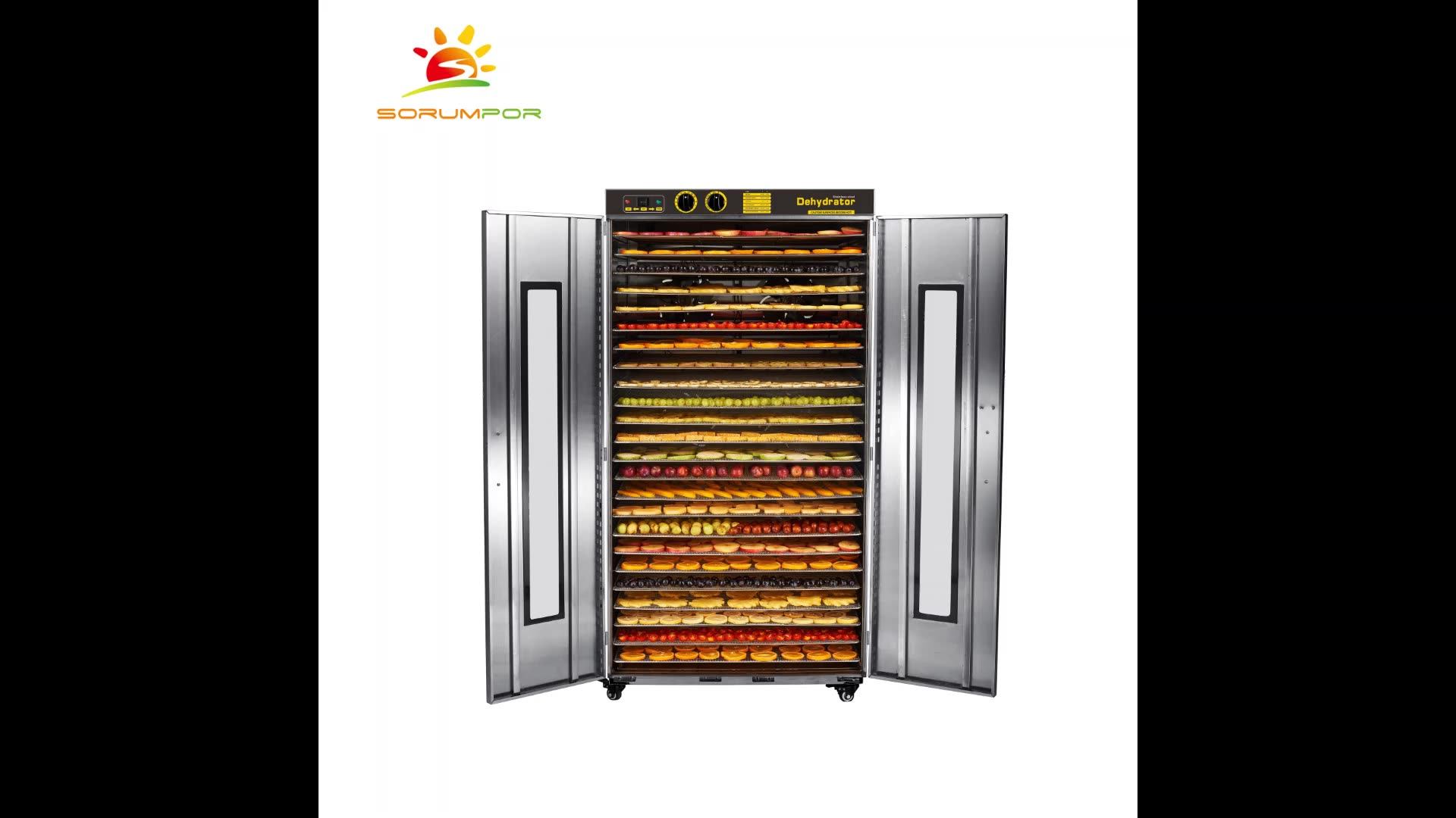 Professional Fruit Dryer Stainless Steel Drying Oven With 24 Trays With
