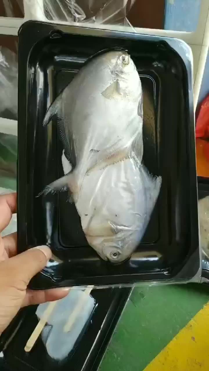 Skin Vacuum Packing Machine For Meat/ Fish/ Shrimp /salmon Meat Vacuum