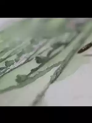 Won the high white cotton pulp watercolor paper 300g fine lines 190g 16K watercolor paper 8K color pencil special paper professional