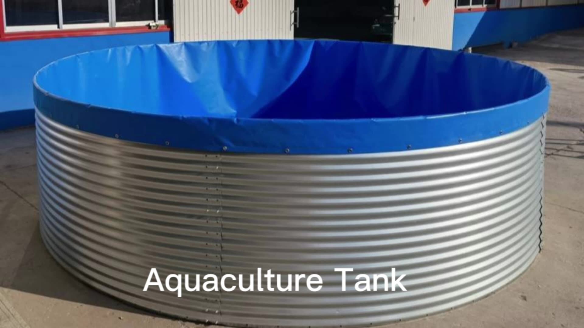 Factory Customized Fish And Shrimp And A Crab Ras Tilapia Farming Fisheries Aquaculture System