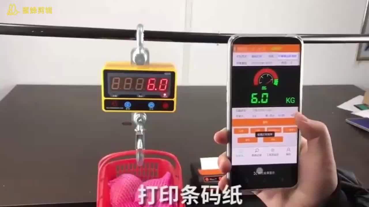 Electronic Ocs Hanging Scale Digital Crane Scale Wireless Weighing