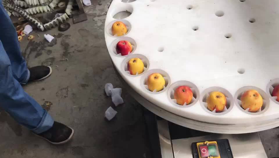 Automatic Apple Processing Machinery Apple Coring Slicing Chips Making