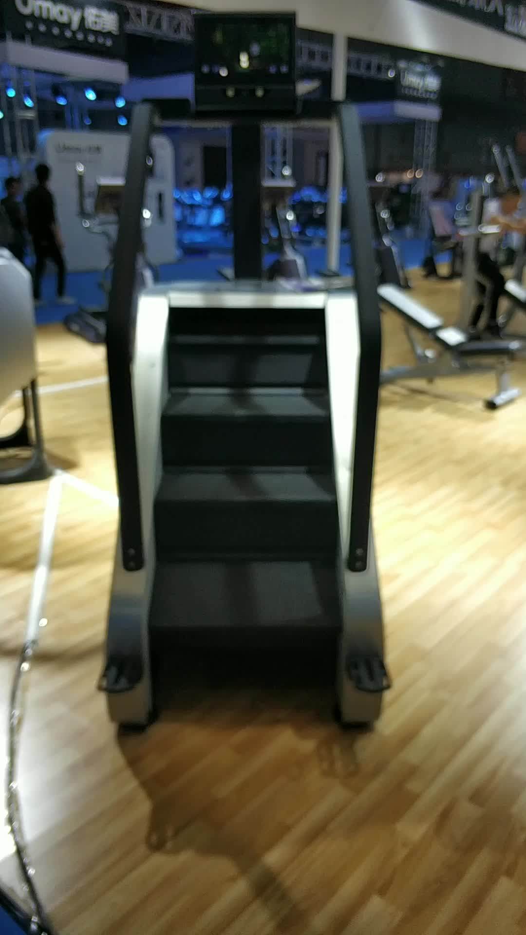 Tz2040 Stair Climber / Commercial Body Building Machine Climbing