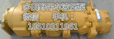 Customizable multi-field crane TG500E gear pump 366-506-00000 triple main pump TOSHIBA TOSHIBA