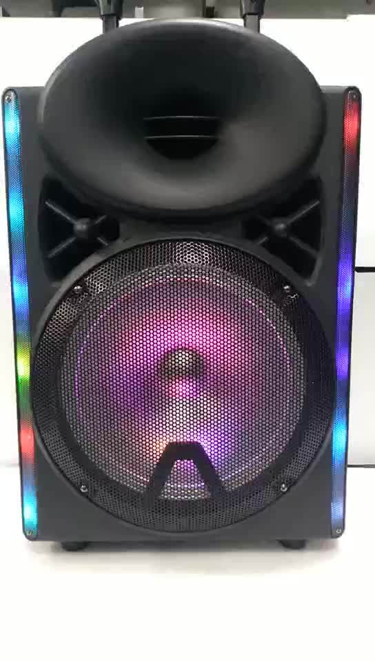 speaker classic 12 inch