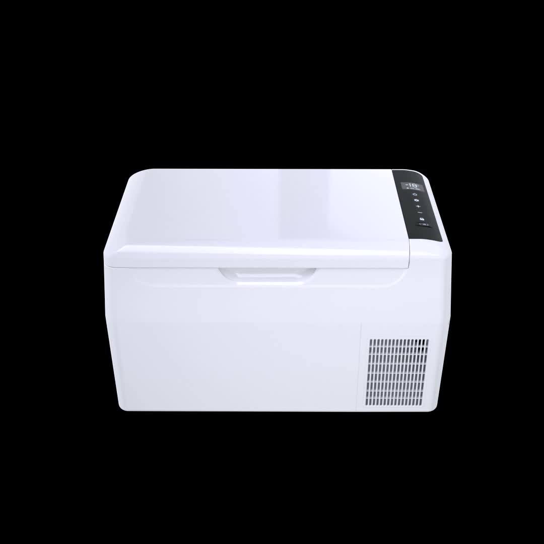 22l Ce Rohs Portable 12v Compressor Mini Car Fridge Buy Cooler Car