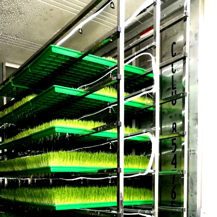 Multifunction Hydroponics System Vertical For Sale Buy Fodder