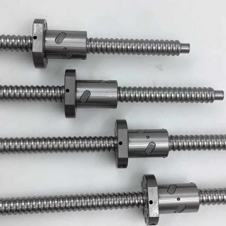 Precision Ball Screw Assembly W2002sa1pc5z4 W2002sa2pc5z4 W2003sa