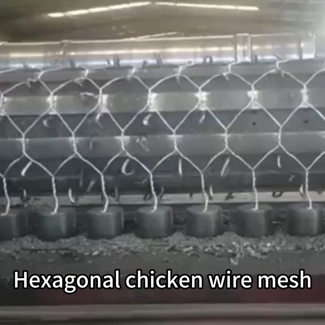 Hot Sale Bulk Chicken Wire/8 Foot Tall Chicken Wire Fencing/hexagonal