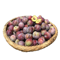 Sichuan crispy red plums boneless plums fresh fruits non-half red plums honey bee sugar plums new fruit set
