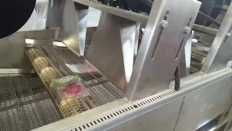 Automatic High Pressure Fruit Vegetable Washer