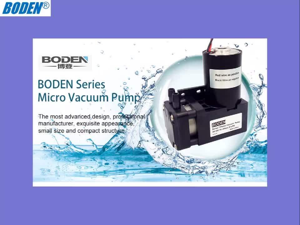 Bd07ab 12v 24v Oilless Dc Small Airpump For Oxygen Pump Buy Oilless