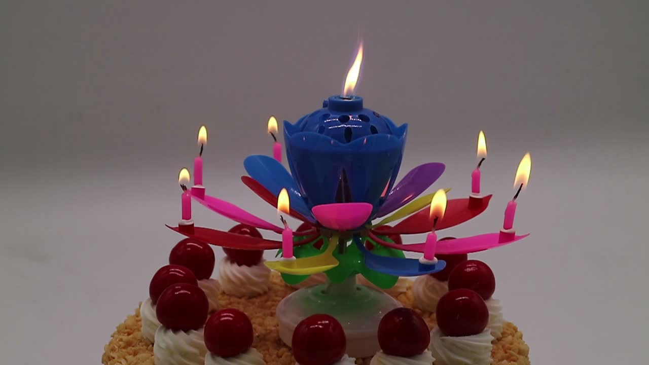 Wholesale Musical Birthday Candle Buy Flower Candle,Magic Candle