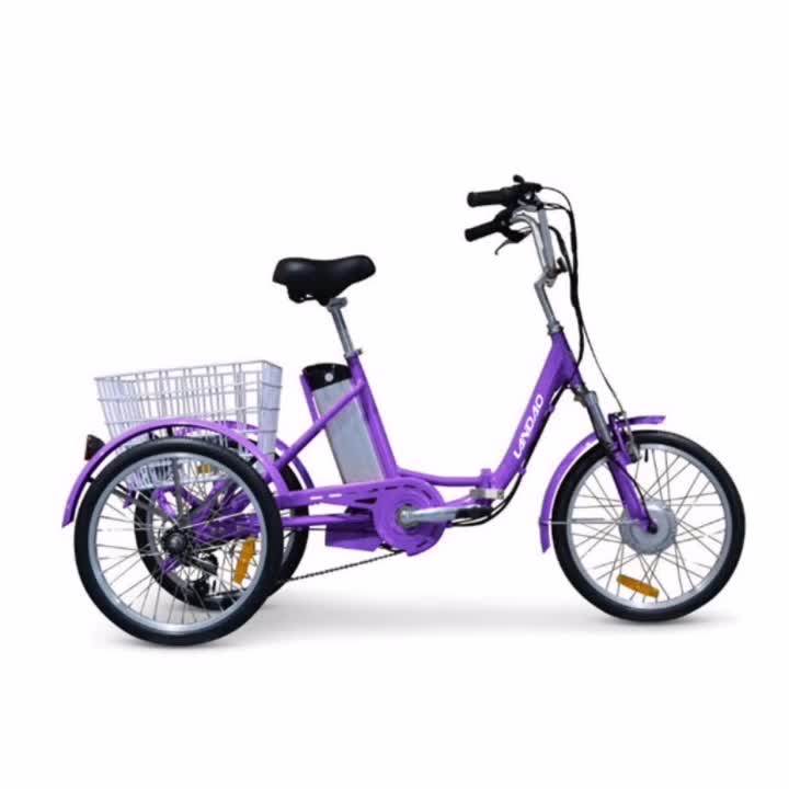 Electric Tricycle Electric Scooter Cargo Bike Elder People Electric