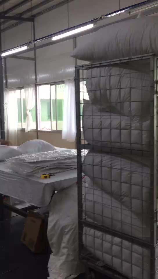 Luxury Five Star Hilton Hotel Feather Down Pillow 5 Star International