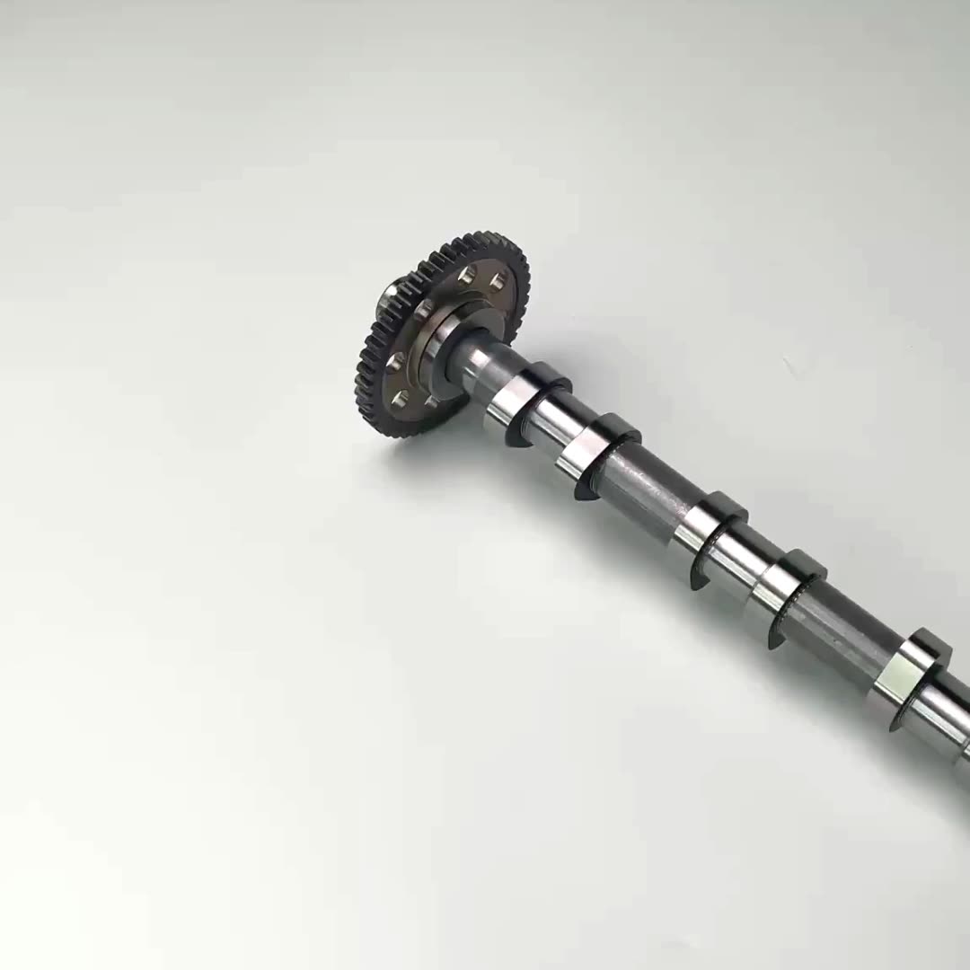 Dual Variable V6 Engine Custom Steel Or Billet Camshafts Machine