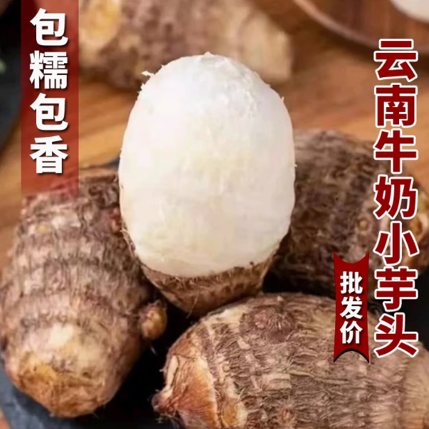 淘宝打折货大全：如何找到最划算的商品？