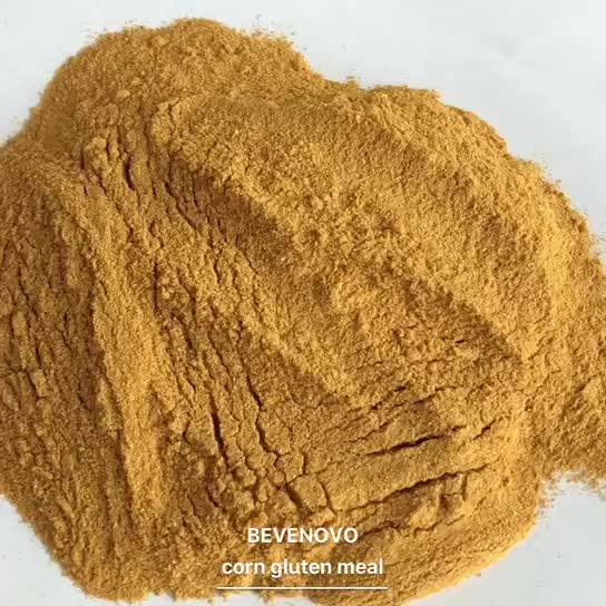 Nongmo Corn Gluten Meal For 60 65 Protein Buy Nongmo Corn Gluten