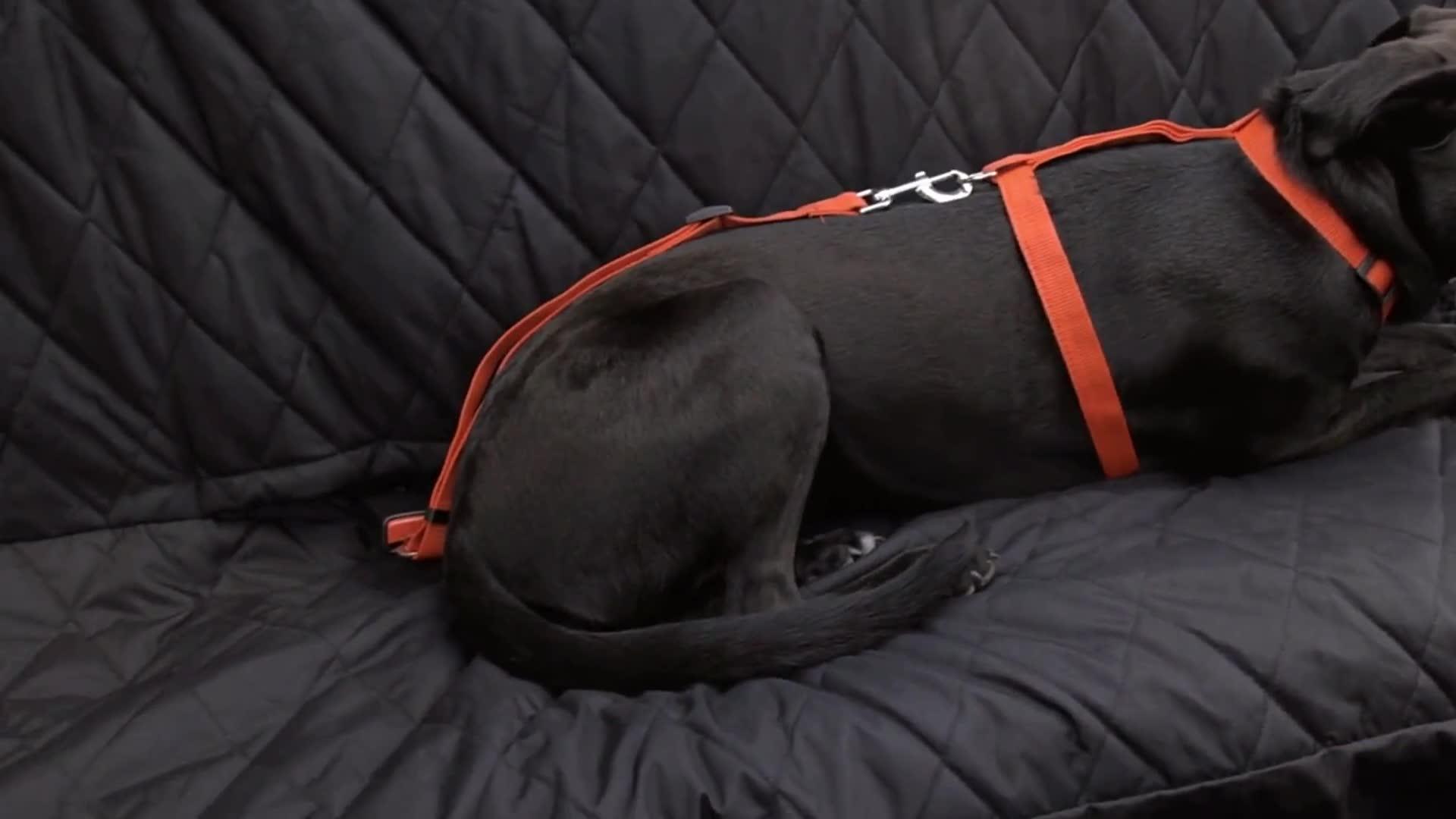 Amazon Hot Item 600d Oxford Black Universal Back Waterproof Dog Car