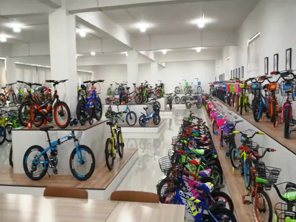 cheap bikes for 10 year olds