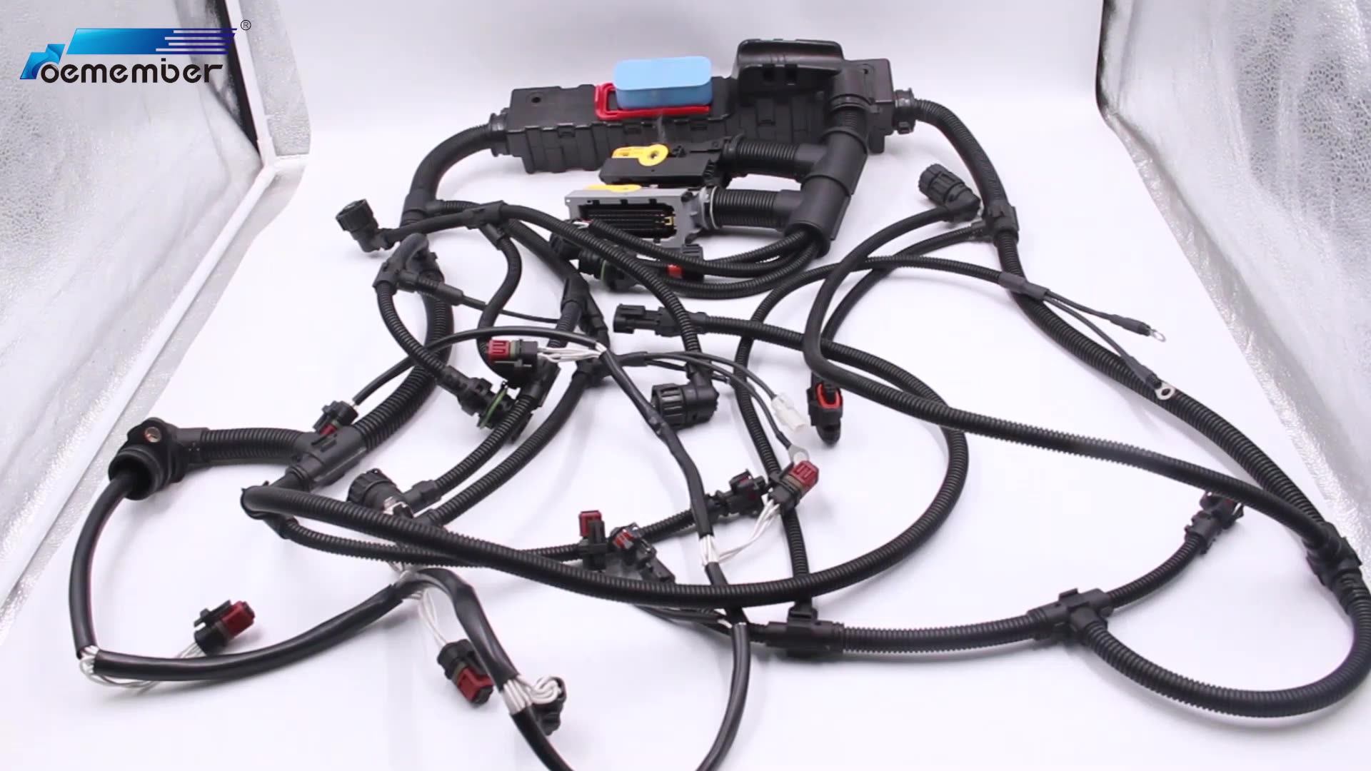 21555873 Truck Electric Custom Engine Wire Harness Assembly Cable