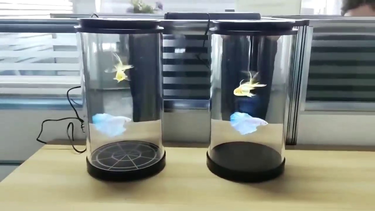 揭秘。圆柱形一切部部息提交柜，带你访问未来世界✨