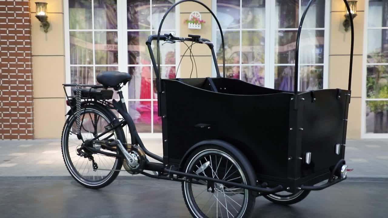 3 Wheel Bicycle,250w Dc Motor Electric Cargo Bike Power Assist Bakfiets