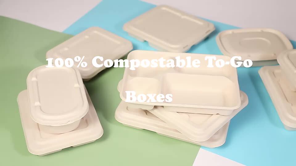 Sugarcane Bagasse Multiple Compartment Recyclable Eco Friendly