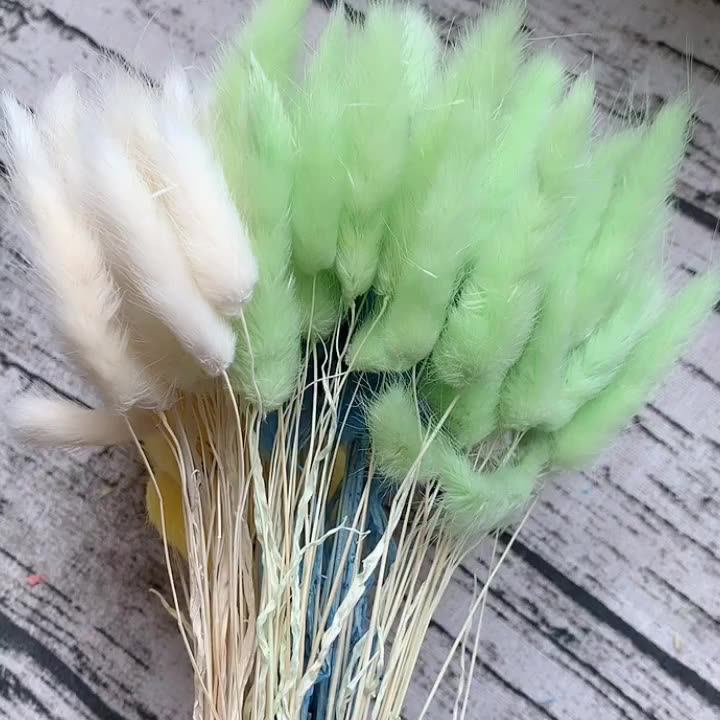Everlasting Dry Bouquet Bunny Rabbit Tails Grass Dried Lagurus Ovatus