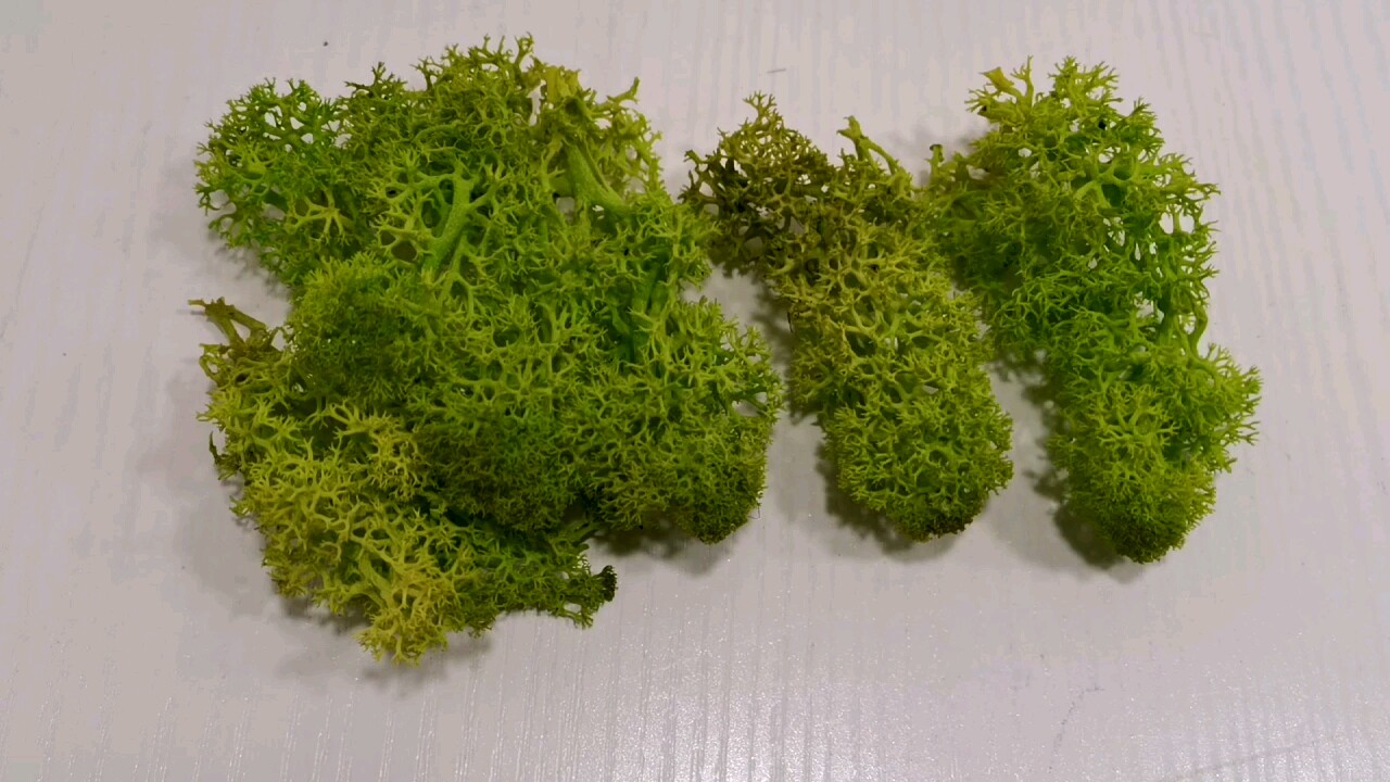 Home Decoration Accessories Panel Artificial Moss Wall - Buy Moss Panel